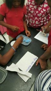 Broward Estates-STEM1